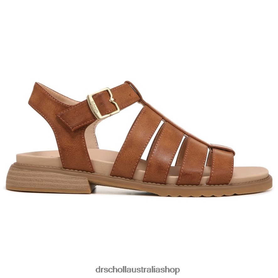 A Ok Gladiator Sandal Unisex Dr. Scholl\'s 4Z4JXV207 Brown