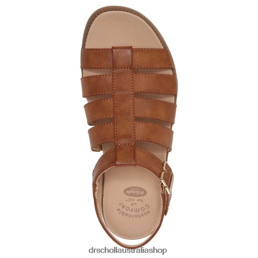 A Ok Gladiator Sandal Unisex Dr. Scholl\'s 4Z4JXV207 Brown