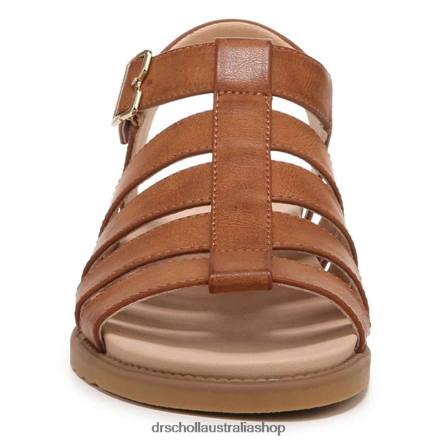 A Ok Gladiator Sandal Unisex Dr. Scholl\'s 4Z4JXV207 Brown