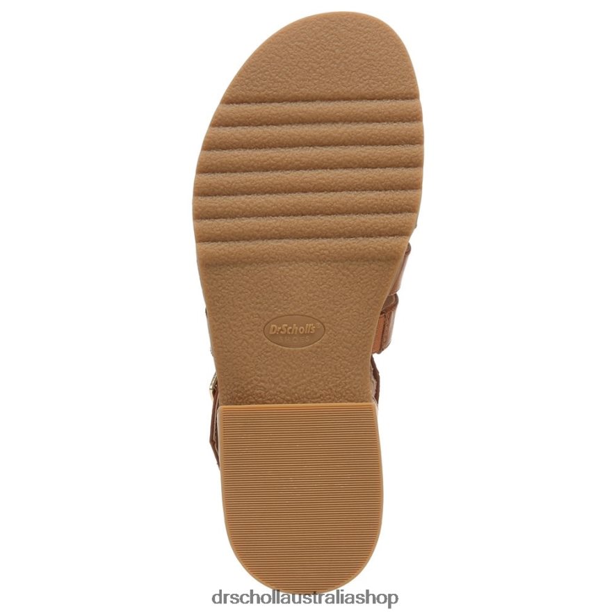 A Ok Gladiator Sandal Unisex Dr. Scholl\'s 4Z4JXV207 Brown